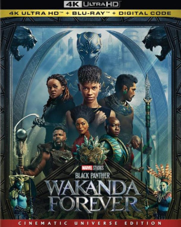 블랙 팬서 와칸다 포에버 (정식자막) Black Panther Wakanda Forever,2022.1080p.KOR.FHDR…